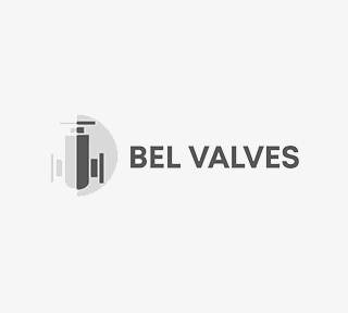 Bel Valves | NTR Ltd