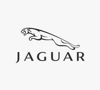 Jaguar | NTR Ltd